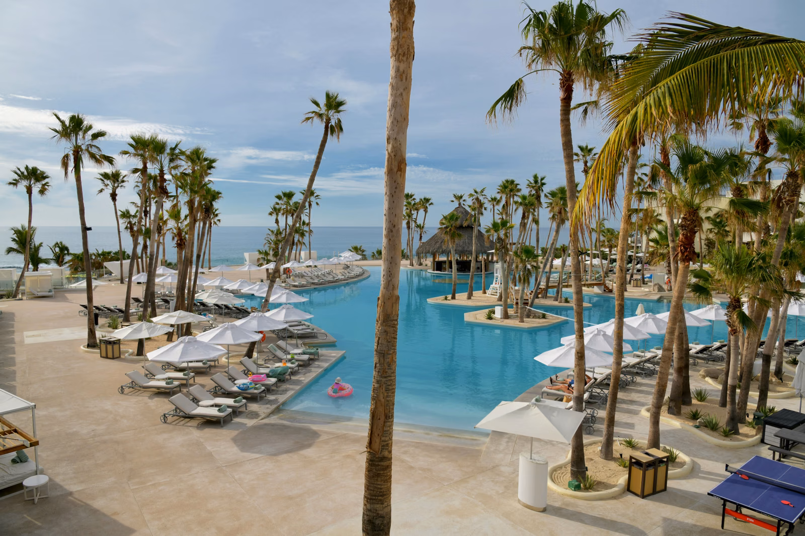 Resort swimming pool with palm trees and Pacific views, Baja California Sur, Mexico