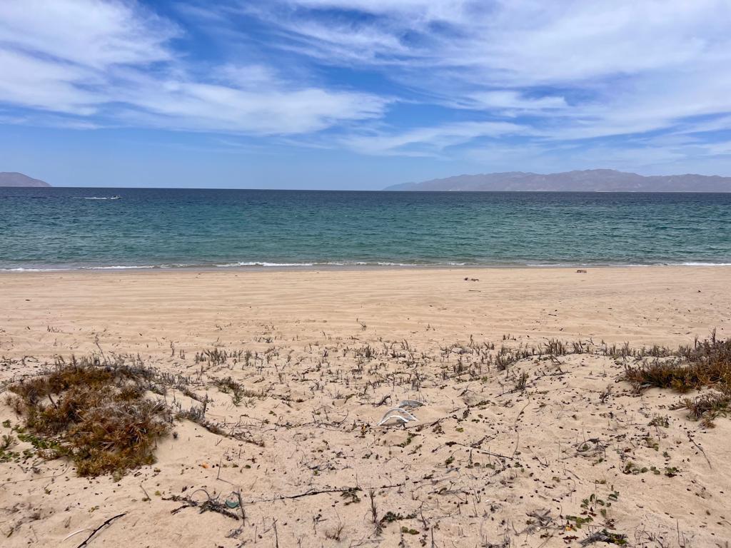 164 Parcela 3z1p1/7, Lote Beach Front En Bahia Turq, La Paz — photo 1 of 17