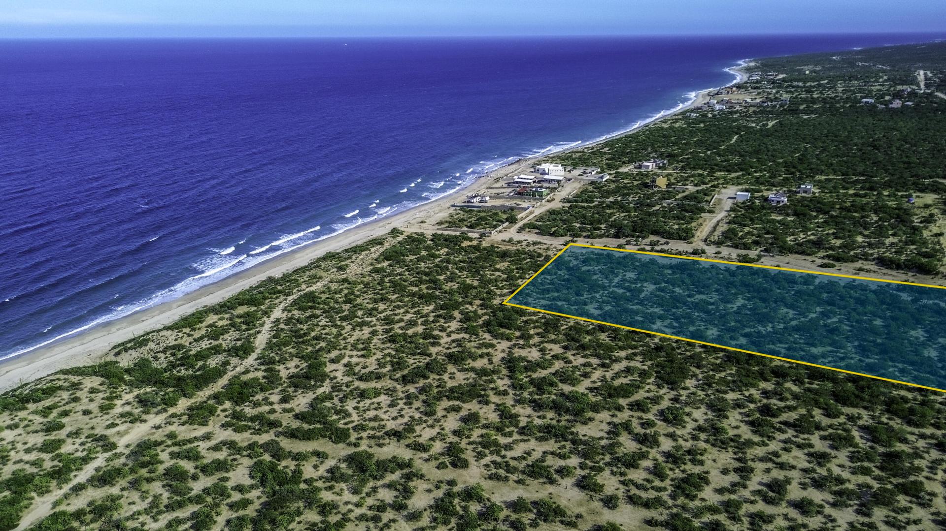 St Teresa Lot, Octopus Beach, East Cape — photo 1 of 6