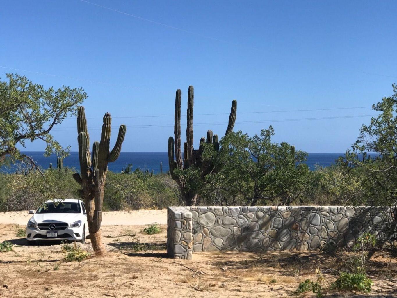 Offroad Cardonal-Los Barriles, El Cardonal Lot, East Cape — photo 1 of 22