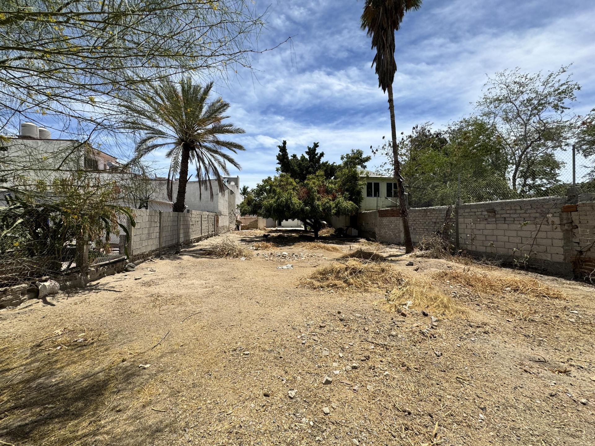 Valentin Gomez Farias, Land In Valentin Gomez Farias, La Paz — photo 1 of 17