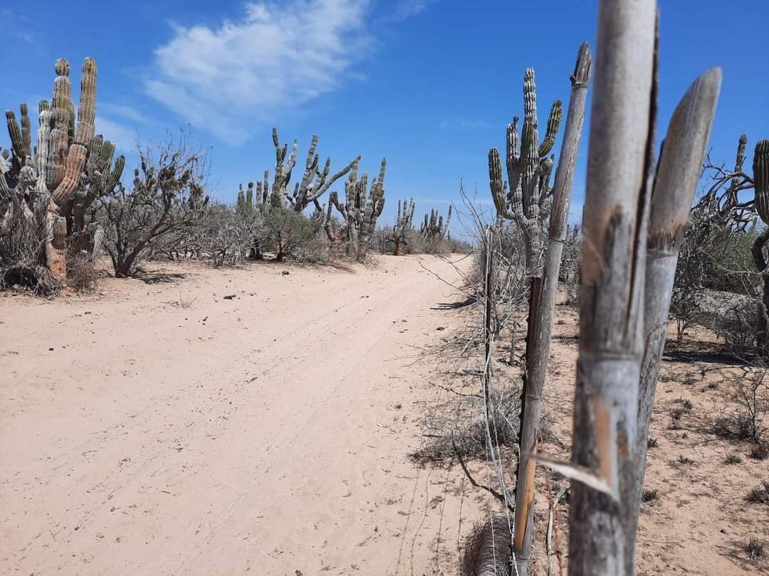 Km 36 Carr. Al Nte, Terreno La Paz 3, La Paz — photo 1 of 7