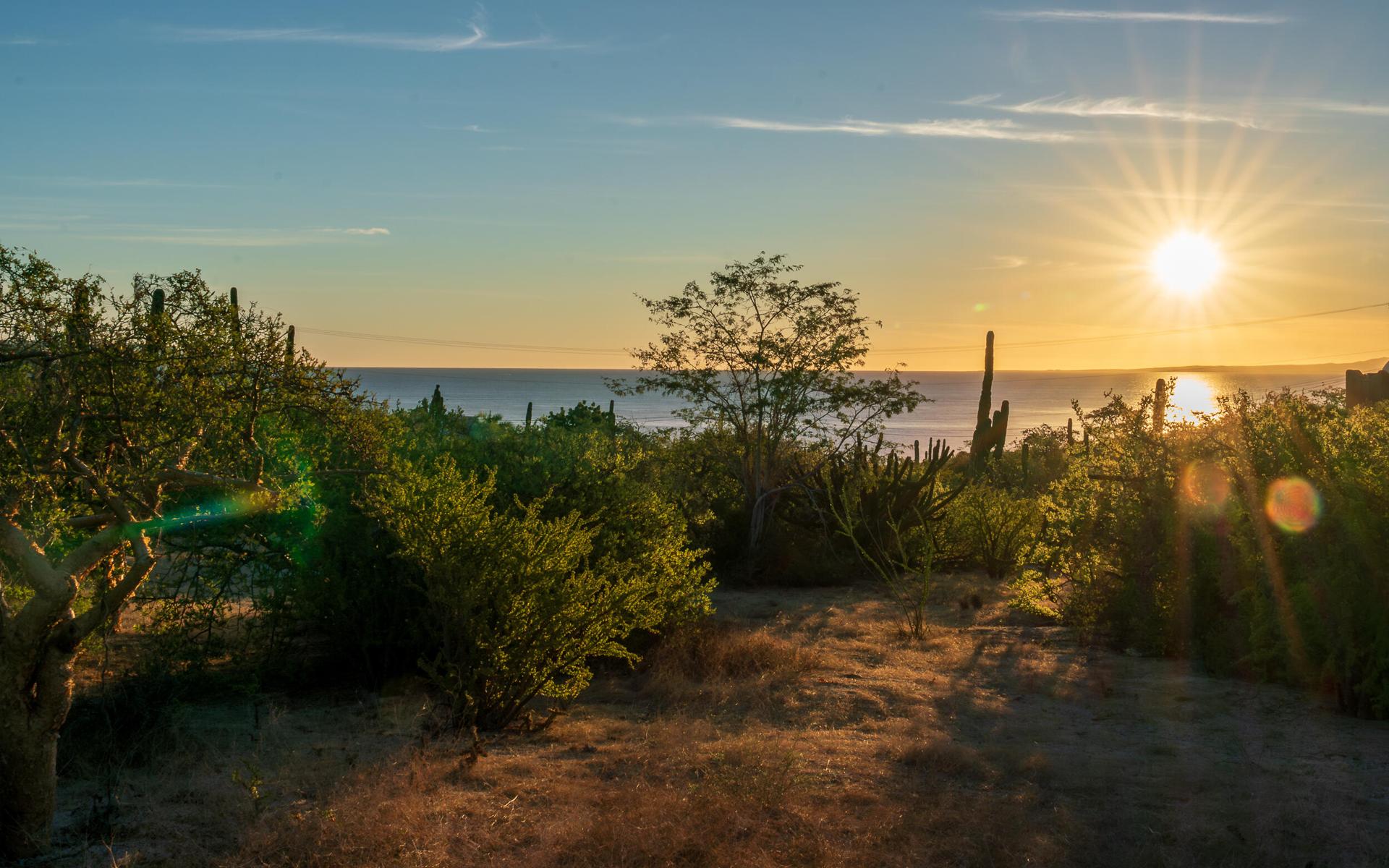 Calle Alga Marina, Beach Access Lot 1925, La Paz — photo 1 of 7