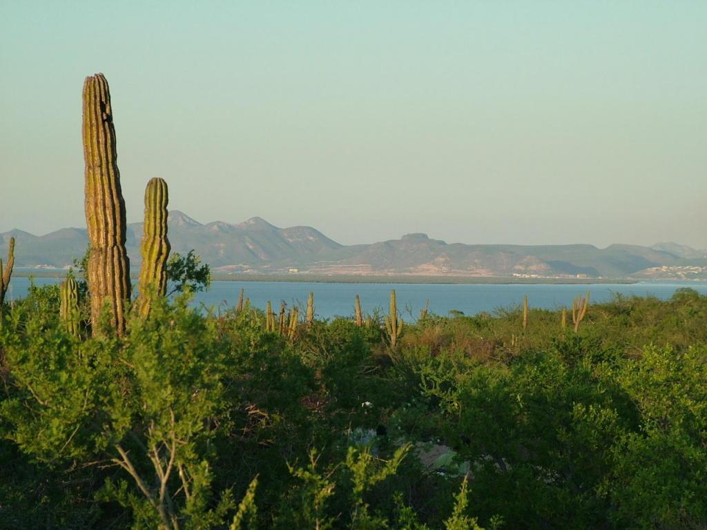 0886 Biznaga Entre 20 Y 21, Loma Vista Lot, La Paz — photo 1 of 18