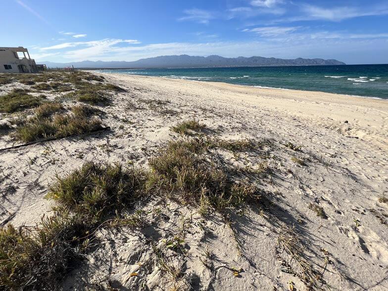 Acre Lot 0198, Beachfront Bahia Turquesa, East Cape — photo 1 of 8