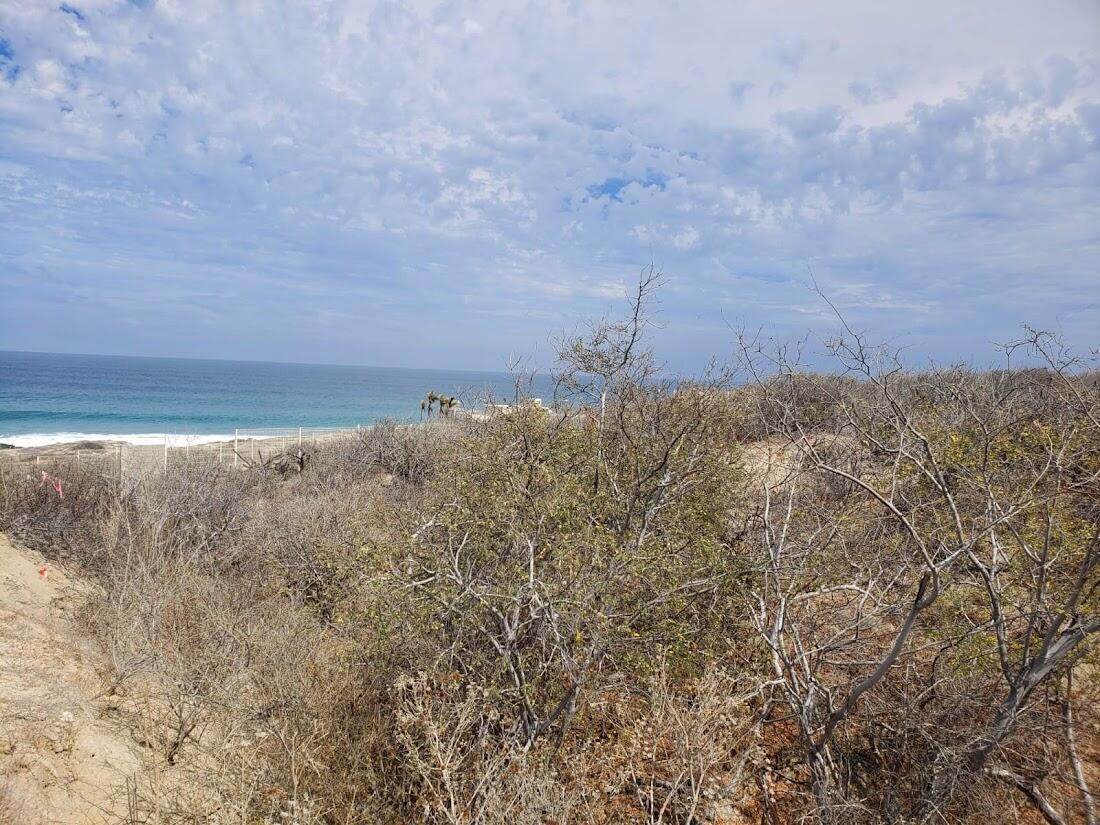 91 East Cape, Costa De Oro Lot, East Cape — photo 1 of 12