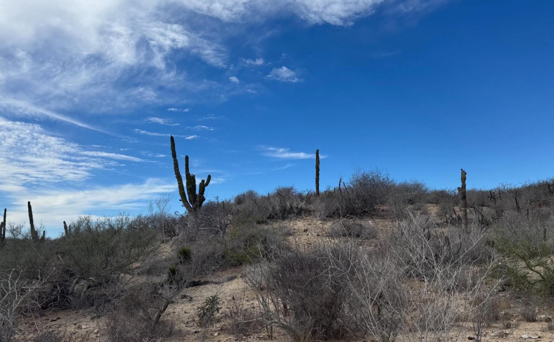 Camino De La Mojarra, Agua Blanca Lot #3, Pacific — photo 1 of 10