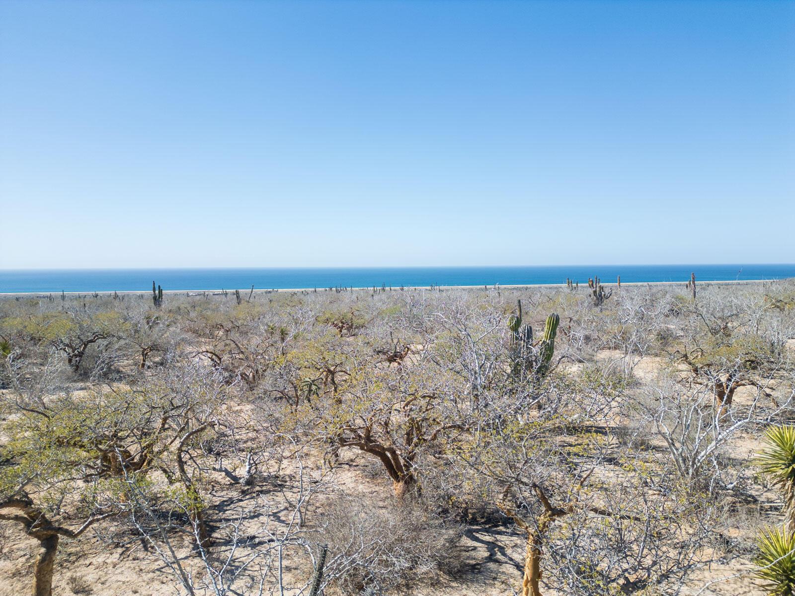 La Playitas, Las Playitas Heaven Lot #3, Pacific — photo 1 of 20