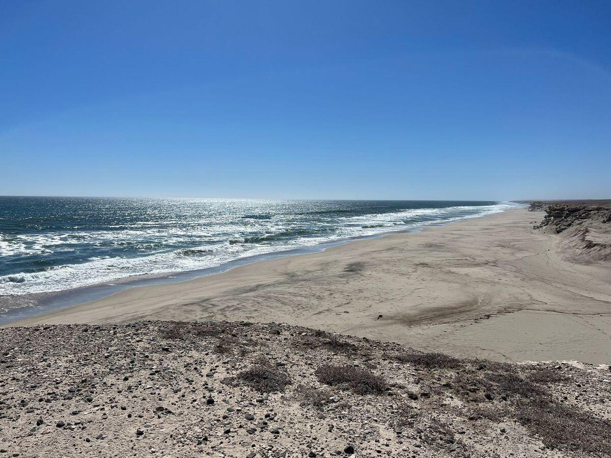 La Ballena Big Lot, Pacific — photo 1 of 9