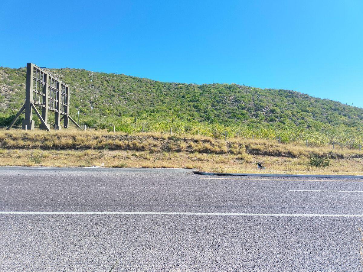 Big Land Los Cerritos, Pacific — photo 1 of 6