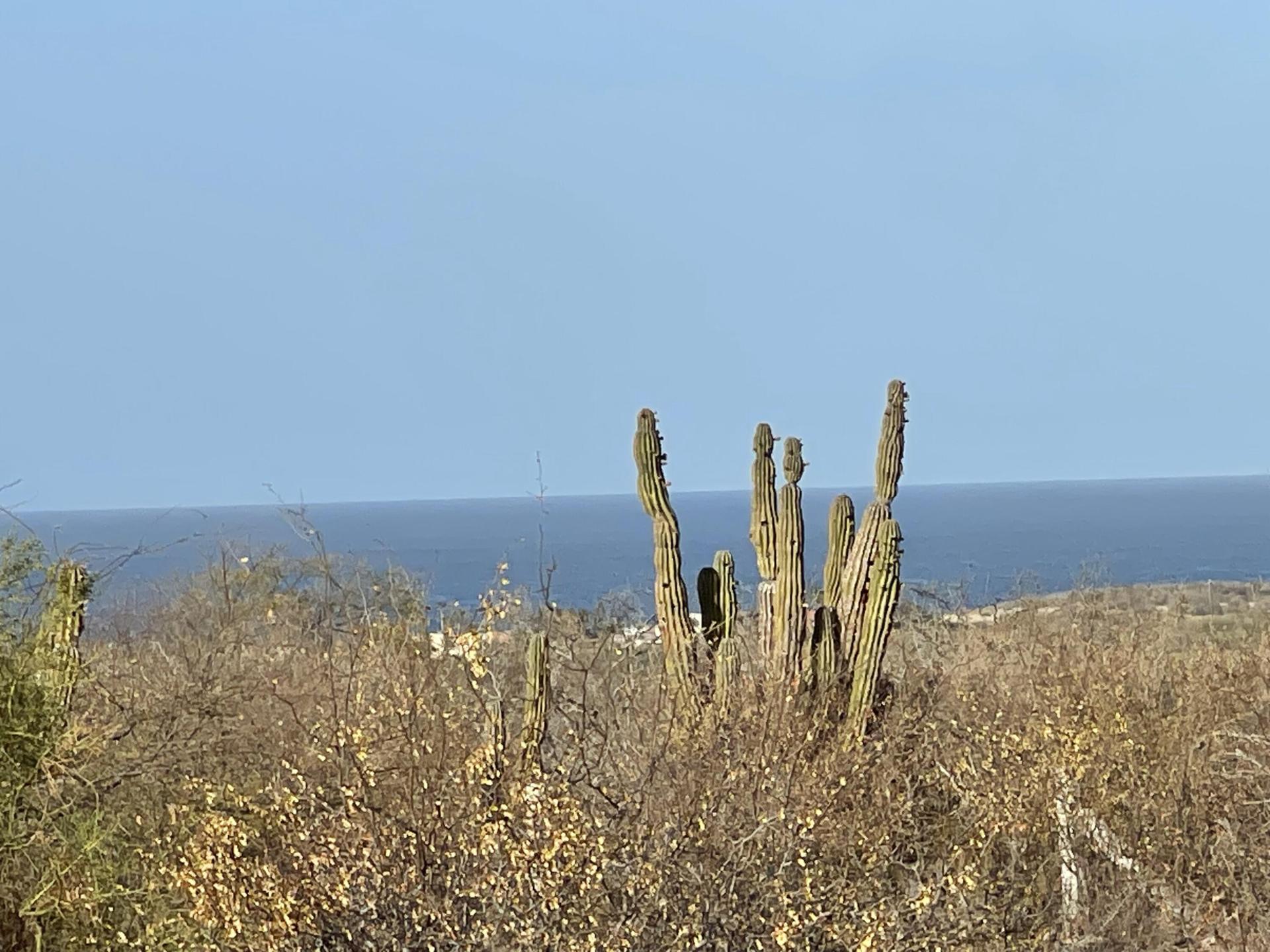 Gabriela'S Lot Martires, East Cape — photo 1 of 12