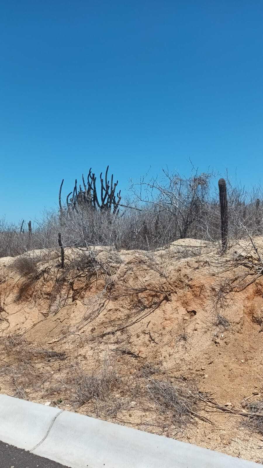 3 Blvd Cabo Hills & Cabo Hills, Rolling Hills Lot 3, Pacific — photo 1 of 6