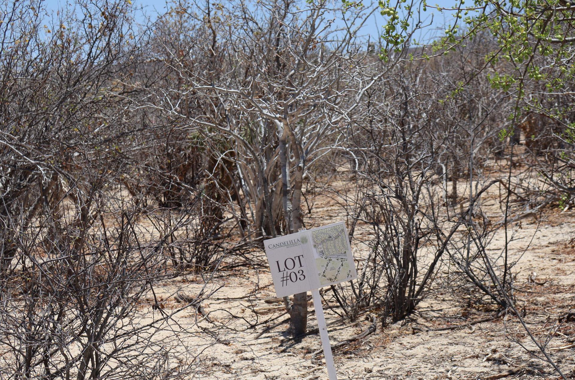 Candelilla Lot 3, East Cape — photo 1 of 9