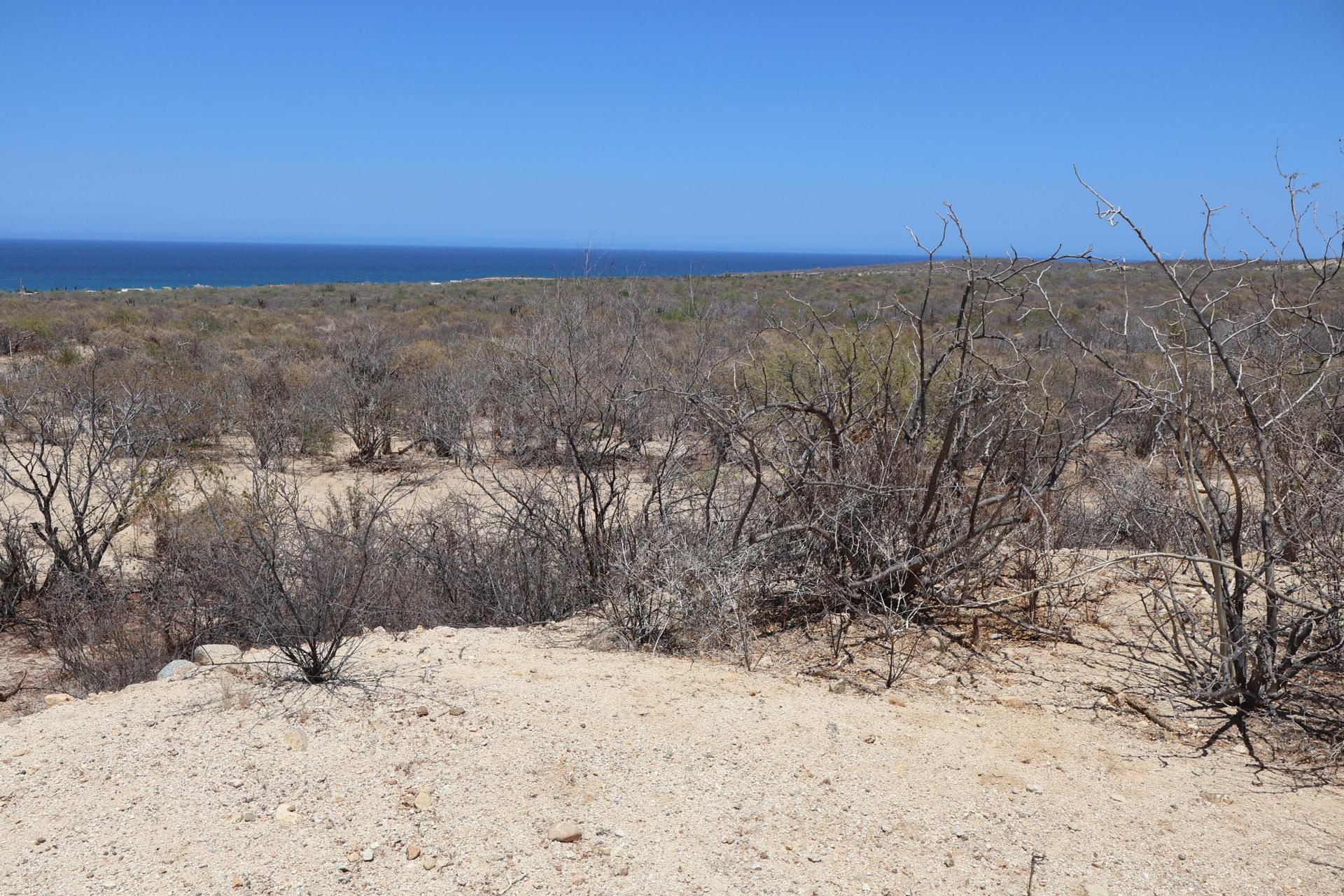 Candelilla Lot 13, East Cape — photo 1 of 13