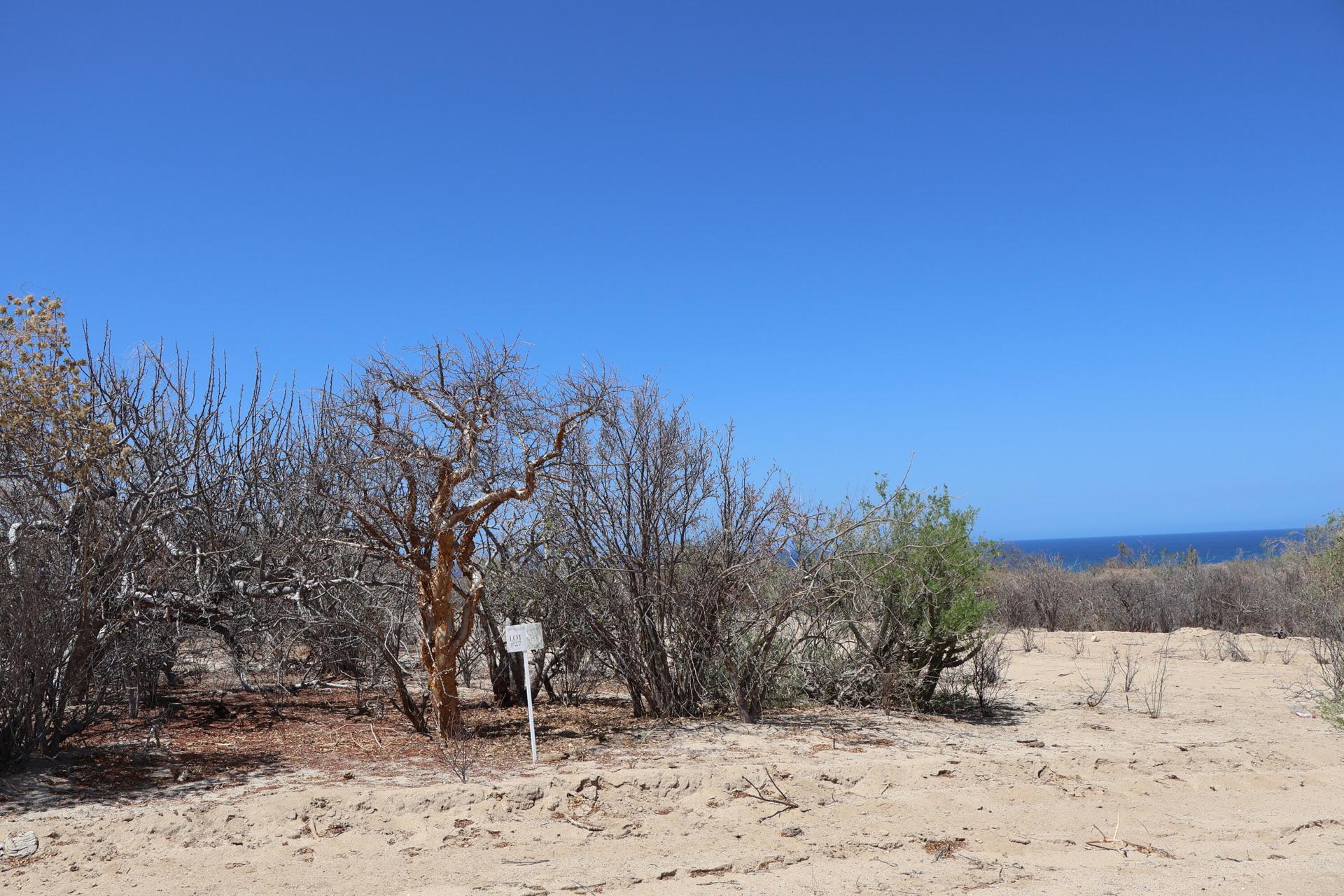 Candelilla Lot 27, East Cape — photo 1 of 17