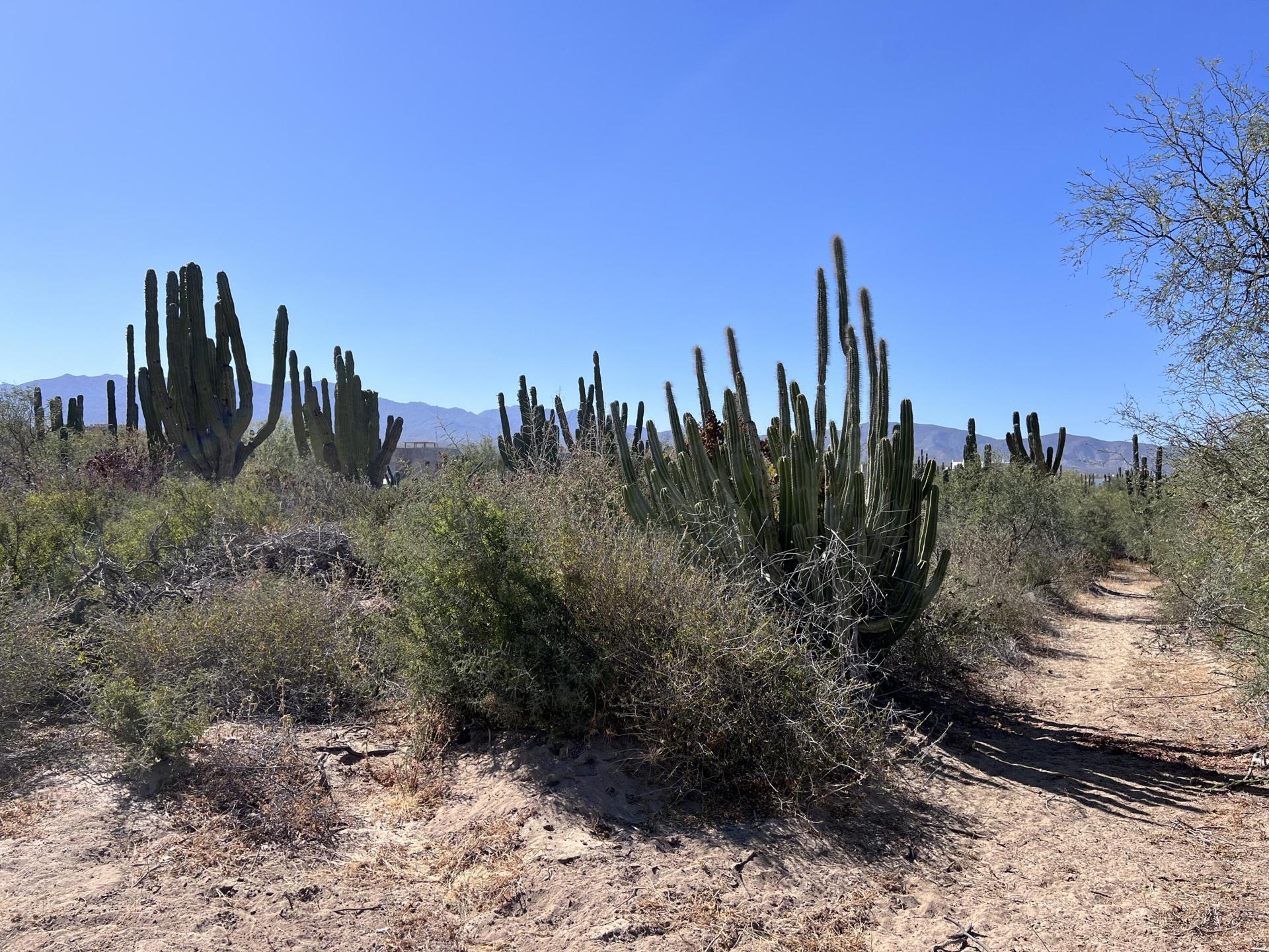 Lot 3, Lomas De Playa Sur, La Paz — photo 1 of 6