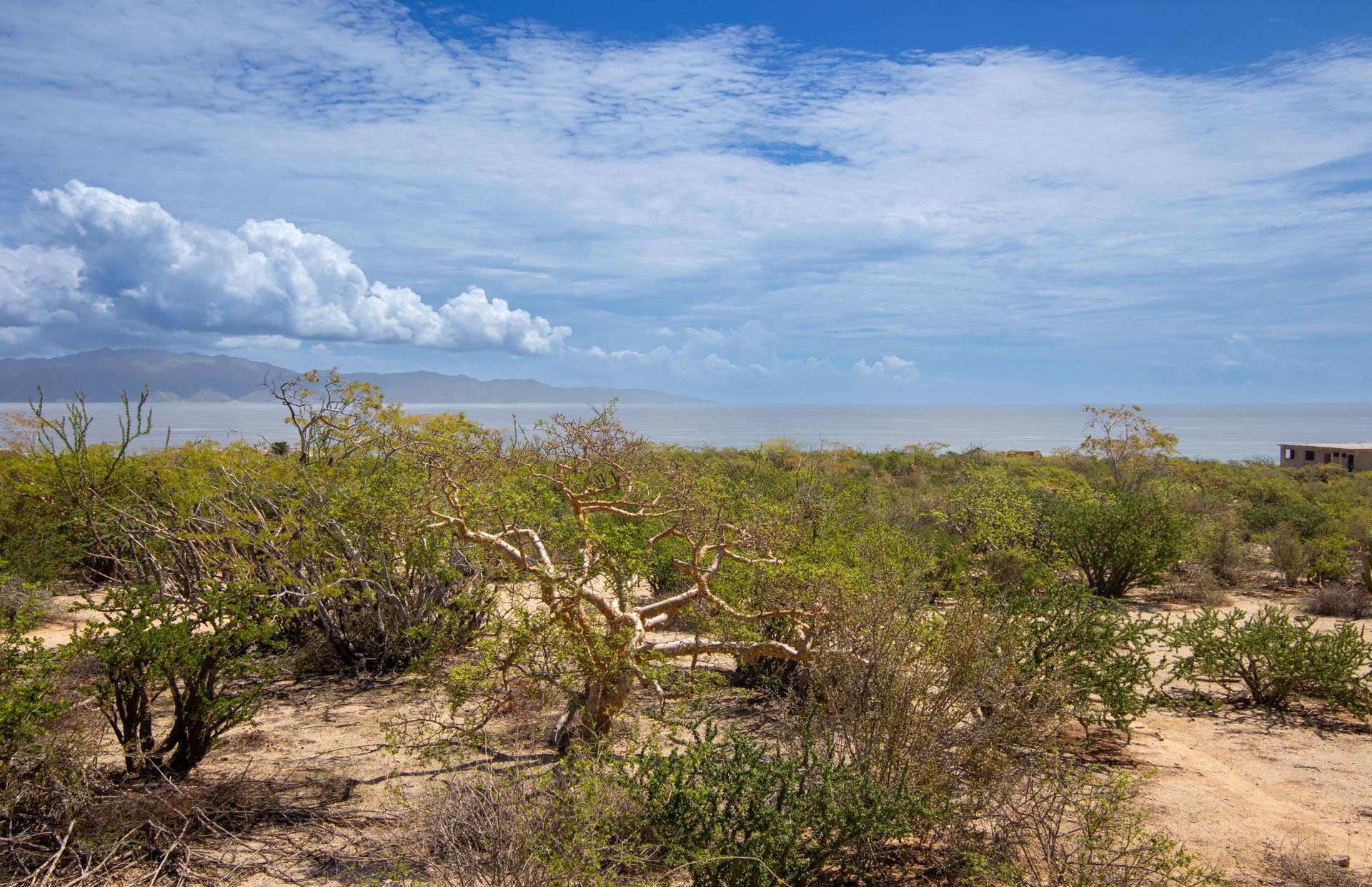 El Jalito, Vista Mar Azul Lot 6, La Paz — photo 1 of 9