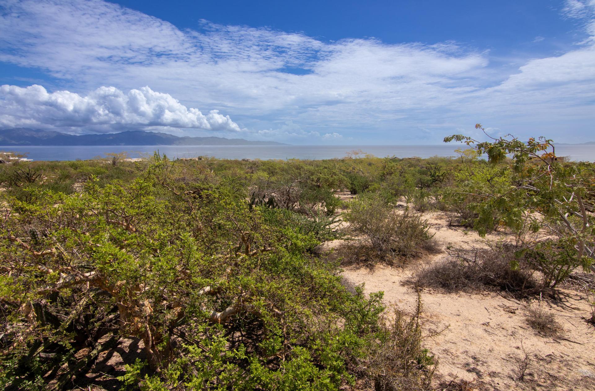 El Jalito, Vista Mar Azul Lot 5, La Paz — photo 1 of 9