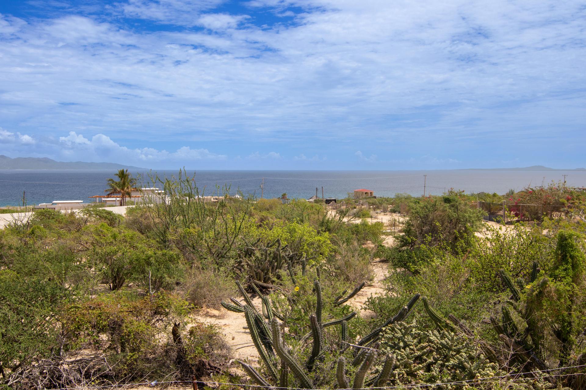 Calle Calamar, Masubi Lot 2, La Paz — photo 1 of 16