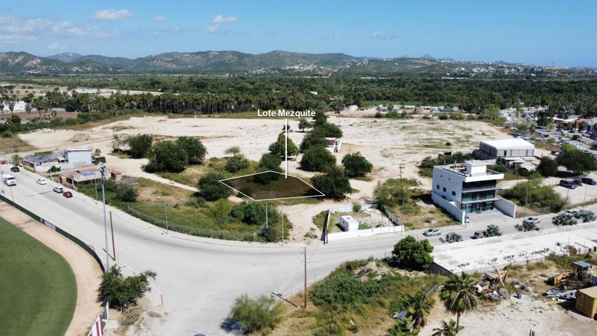 Lote Mezquite Centro, San José del Cabo — photo 1 of 12