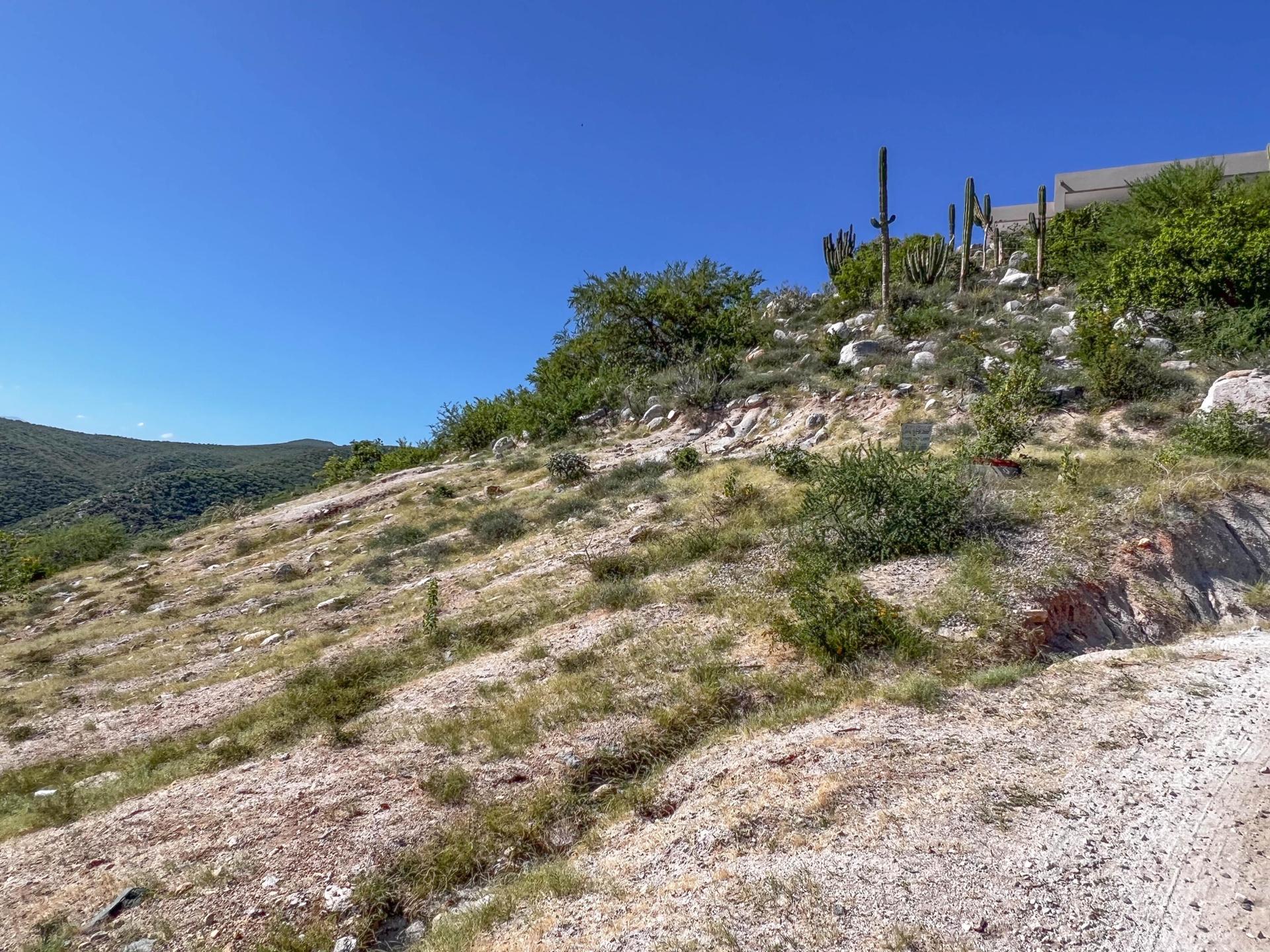 Rod'S Incredible View Lot, East Cape — photo 1 of 8