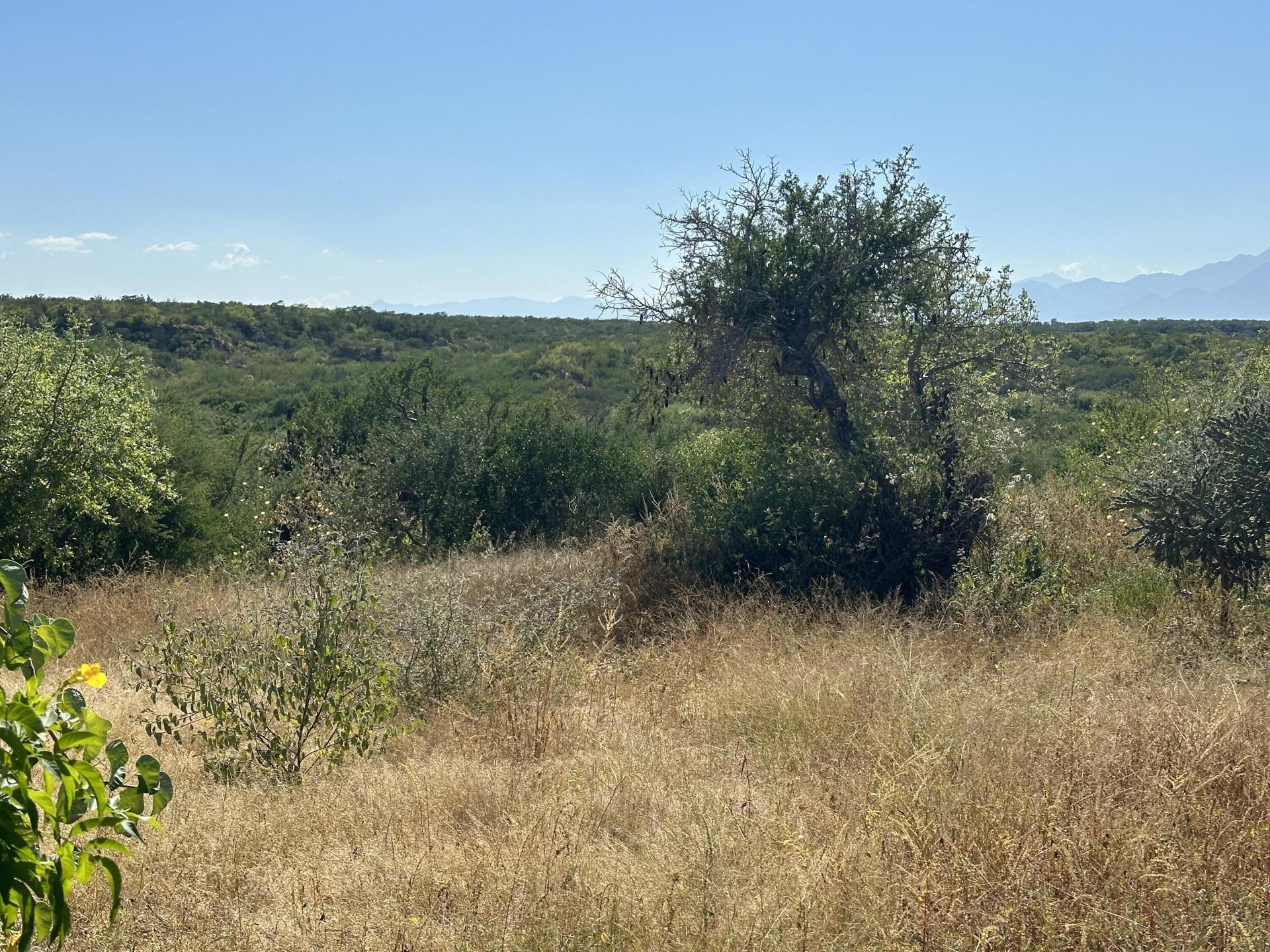 4 De La Manzana, Sierra Vista Lot, East Cape — photo 1 of 6