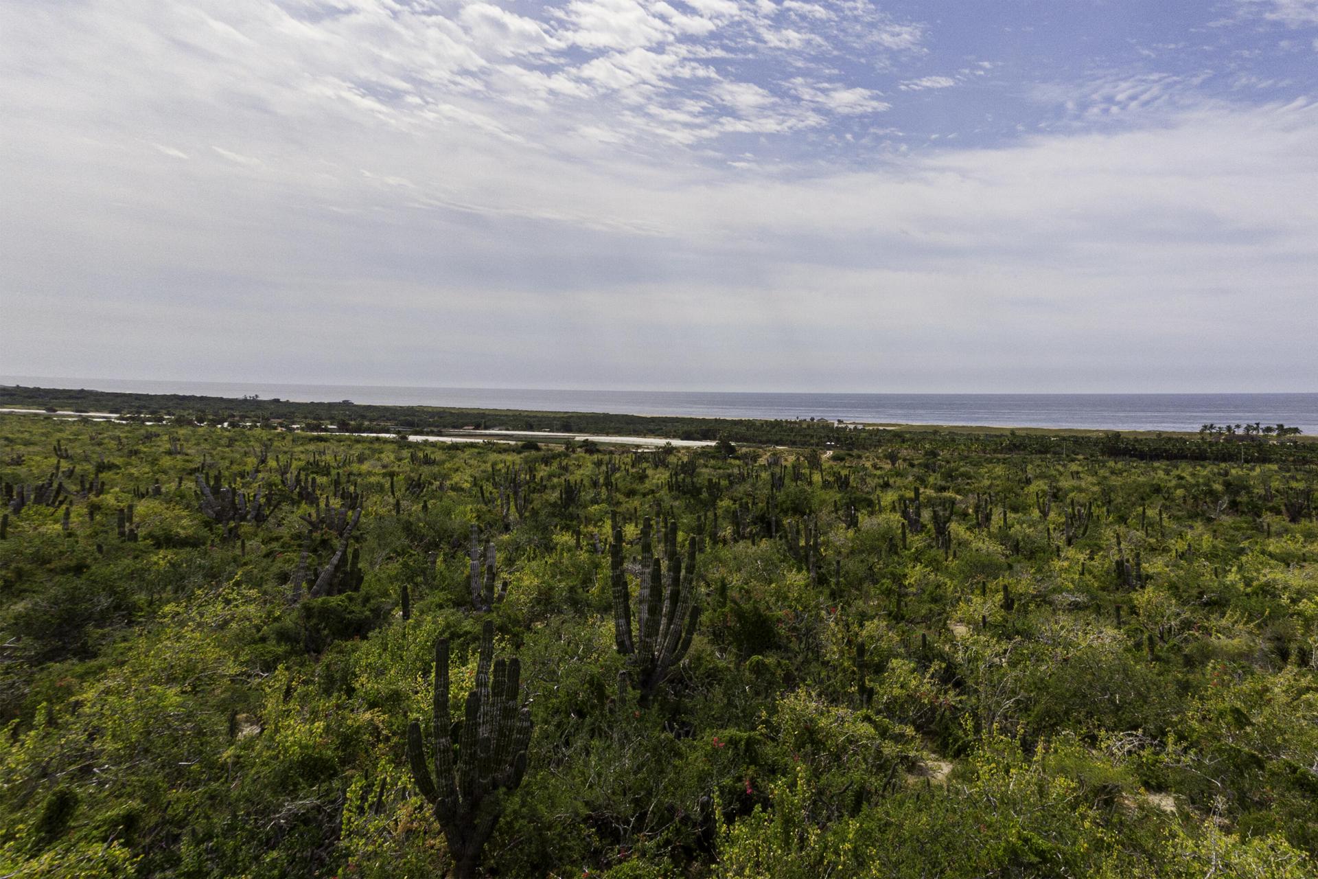 Vistas Playitas 1428, Las Playitas, Pacific — photo 1 of 15
