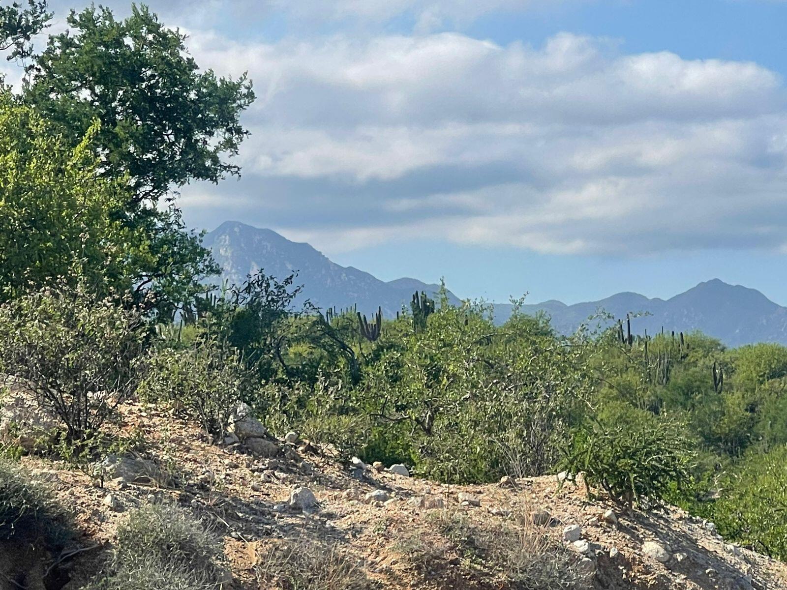 East Cape Developers Dream, East Cape — photo 1 of 6