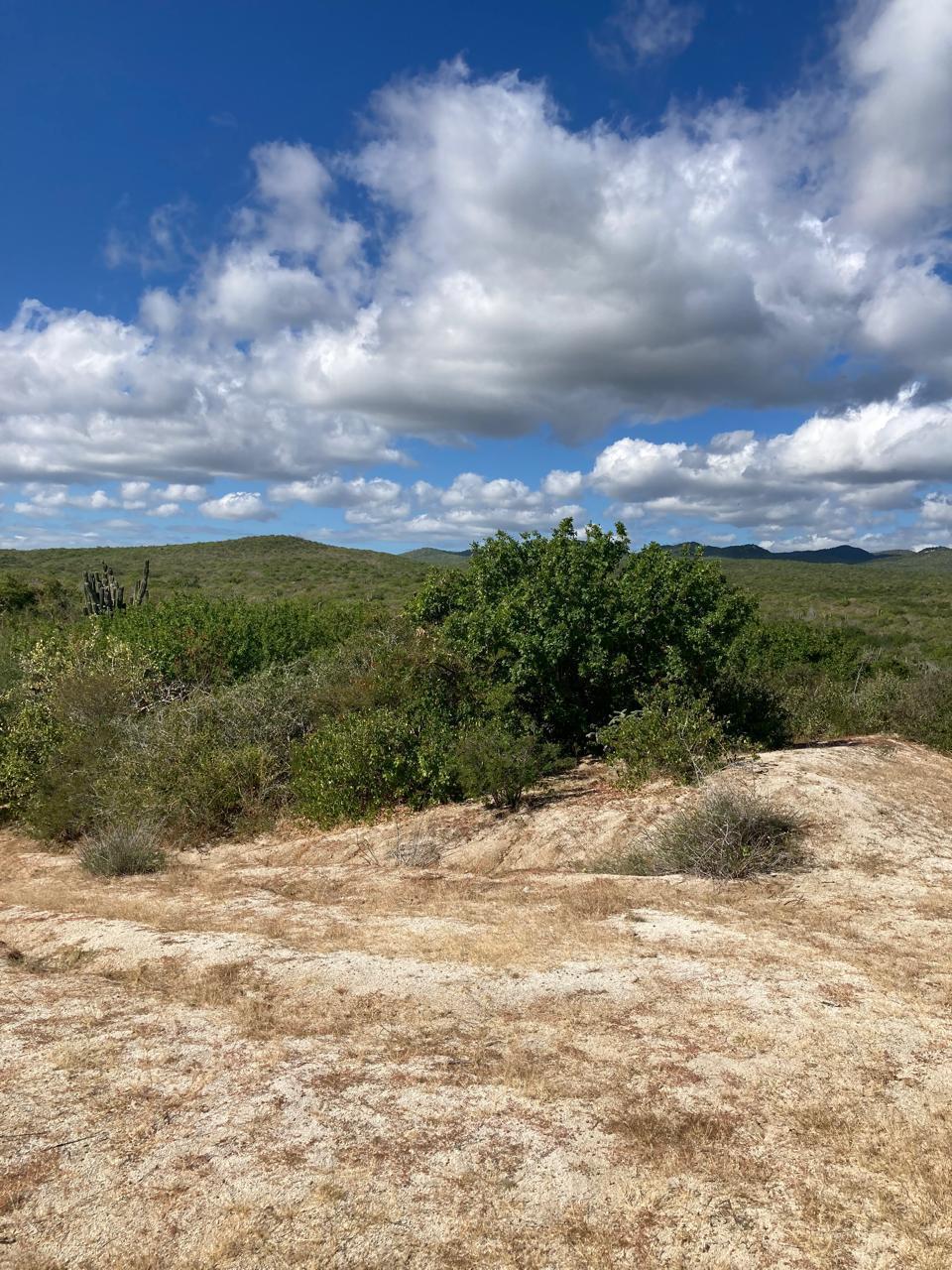 Lot 520, East Cape — photo 1 of 7