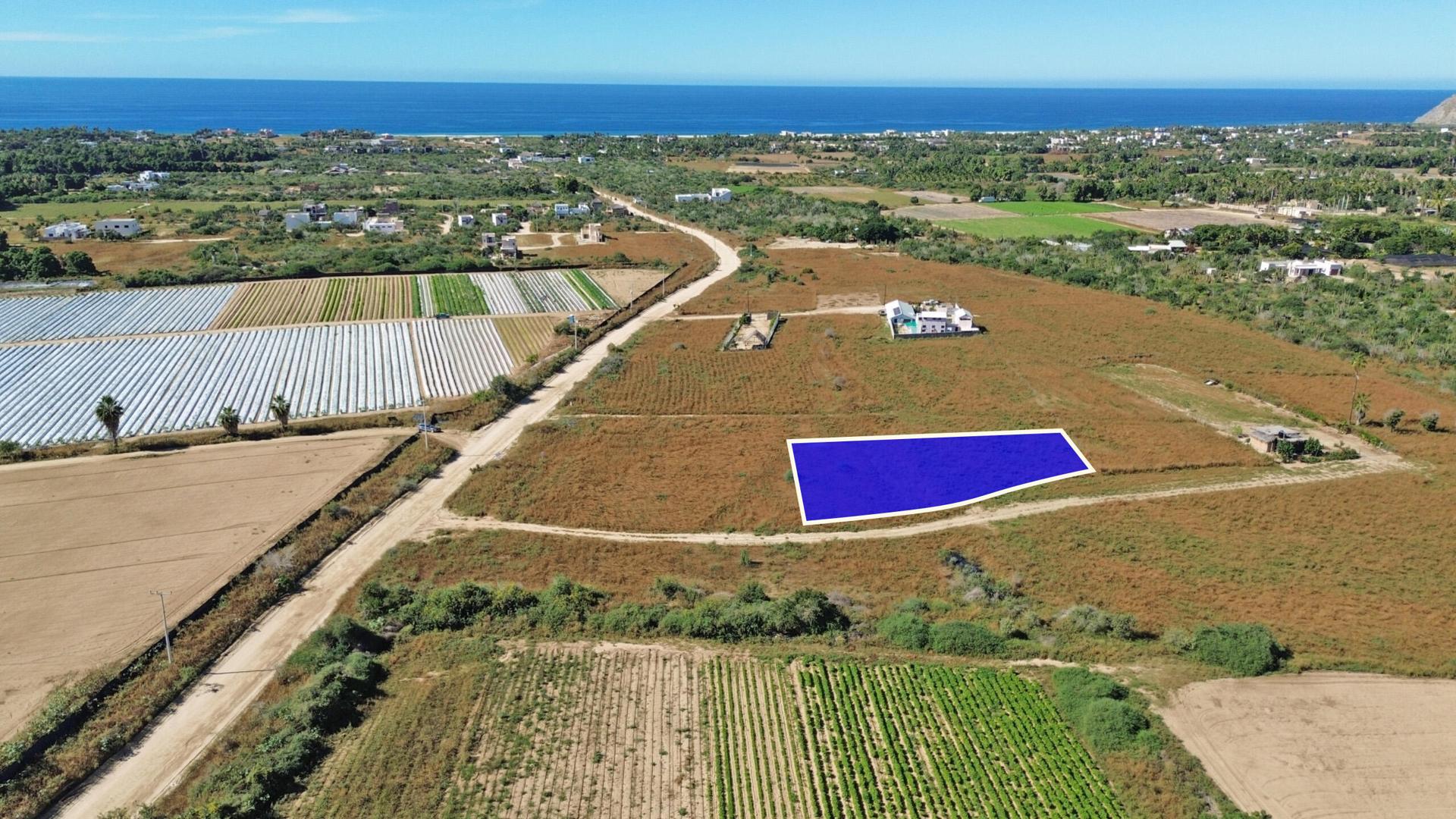 Baja Homestead Lot 2239, Pacific — photo 1 of 21