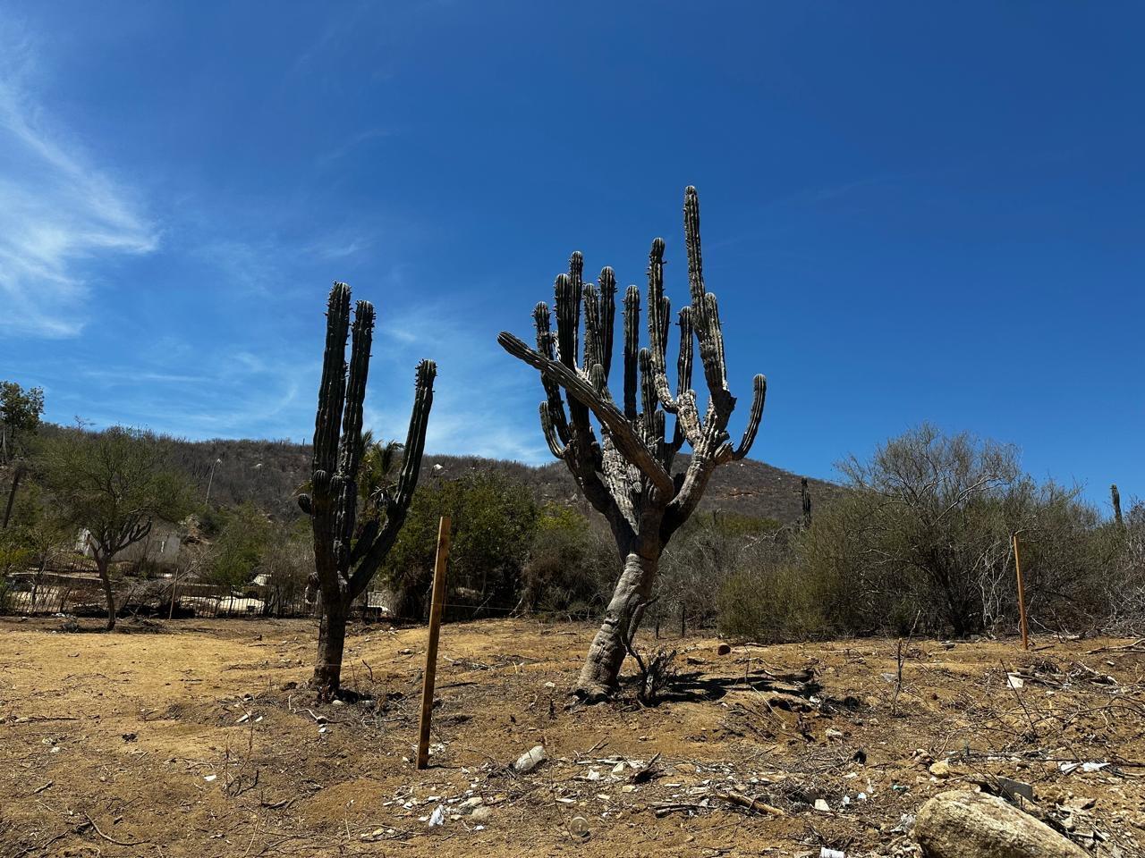 Lot 4a Piedras Gordas, East Cape — photo 1 of 10
