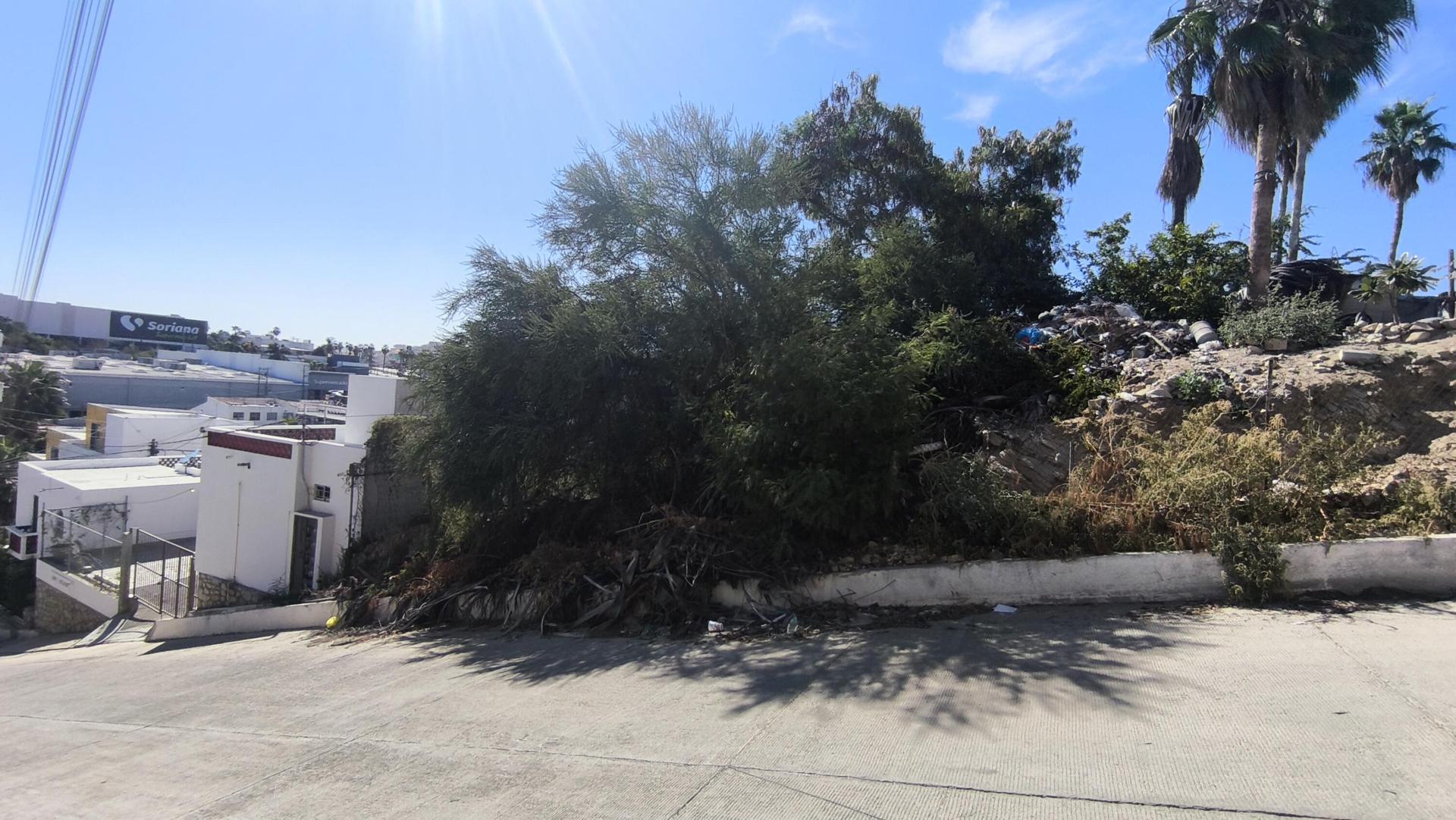 Magisterio, San José Development Lot, San José del Cabo — photo 1 of 8