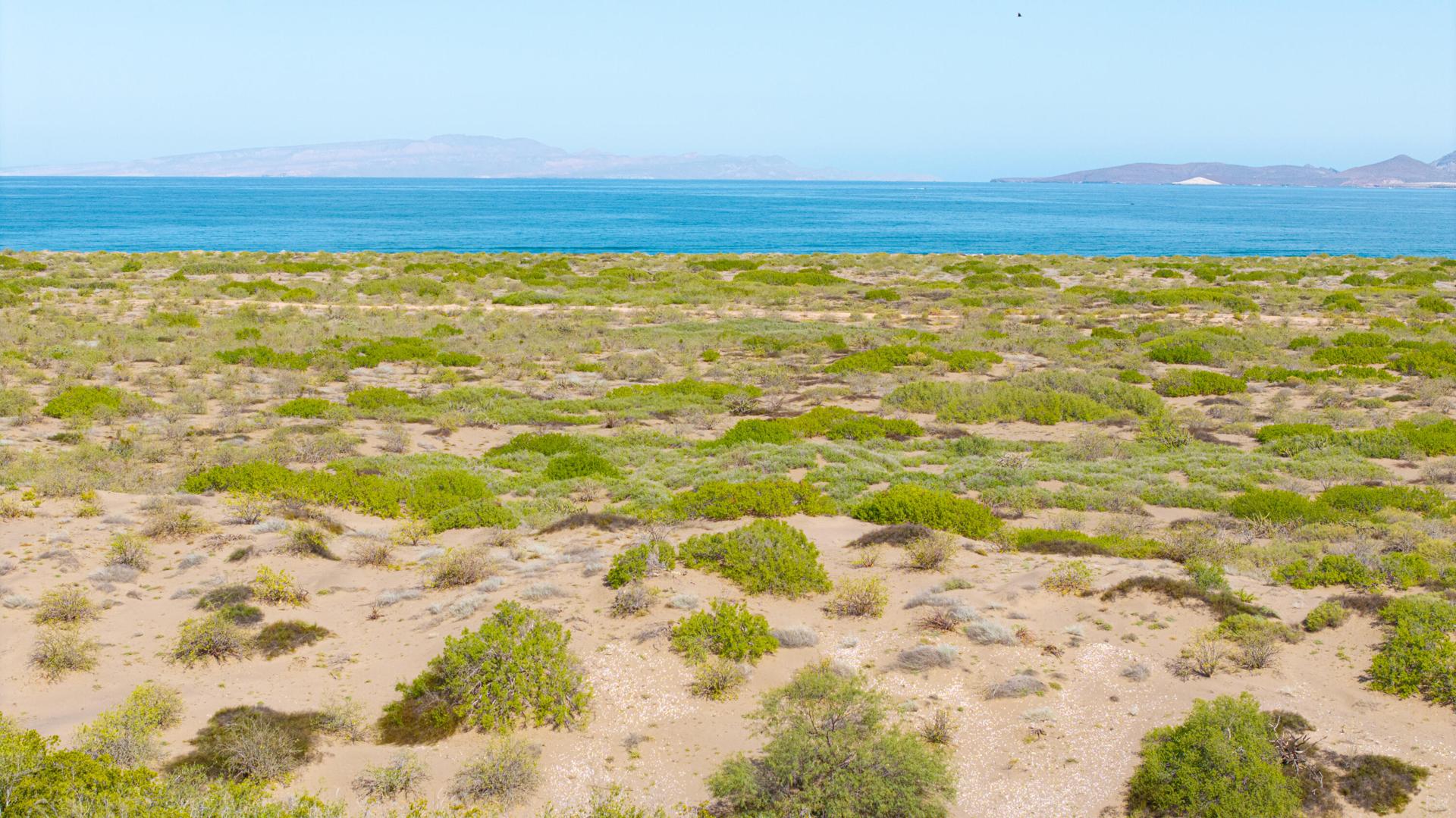 El Mogote, Lot 42, La Paz — photo 1 of 9
