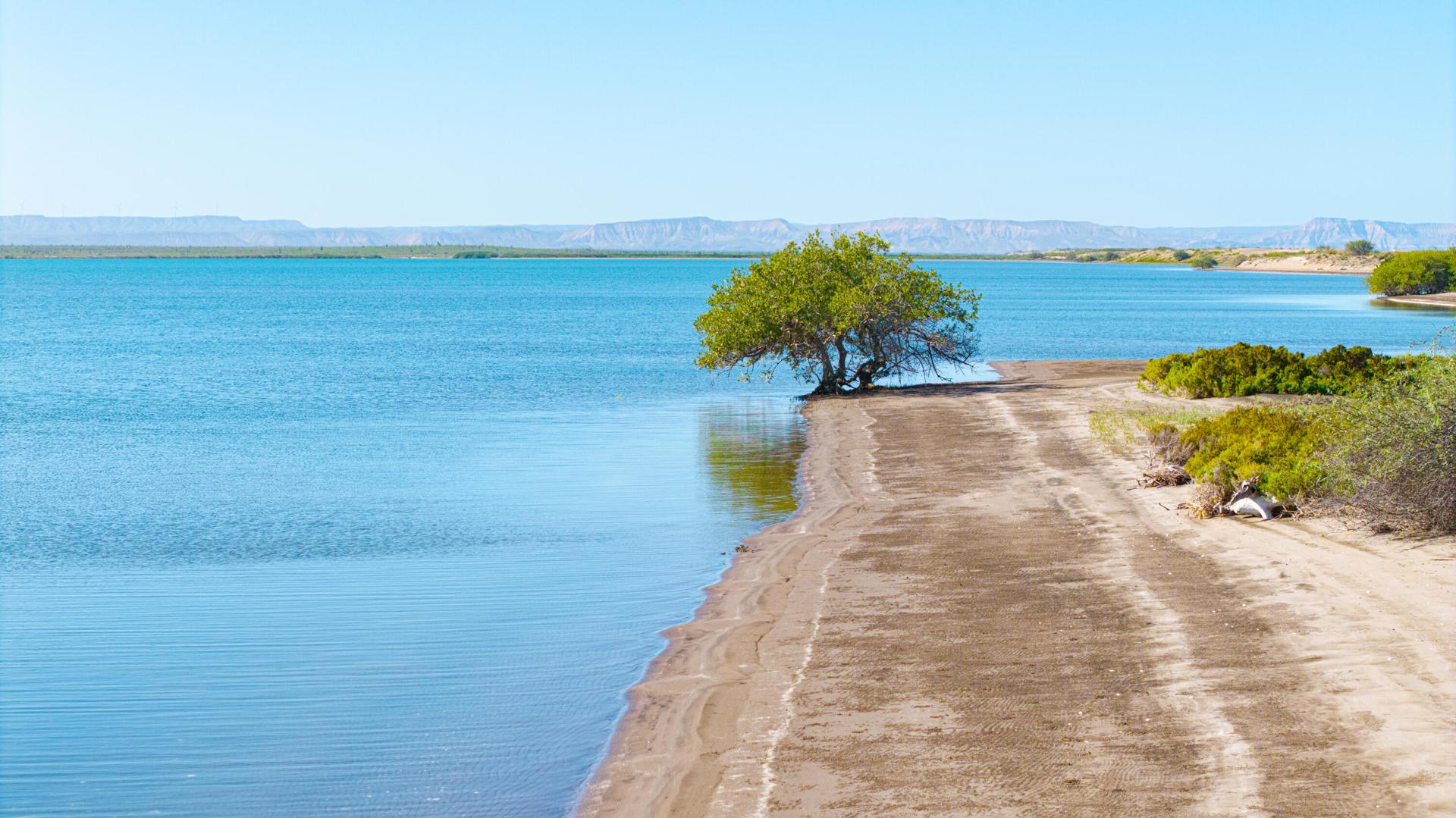 El Mogote, Lot 47, La Paz — photo 1 of 9