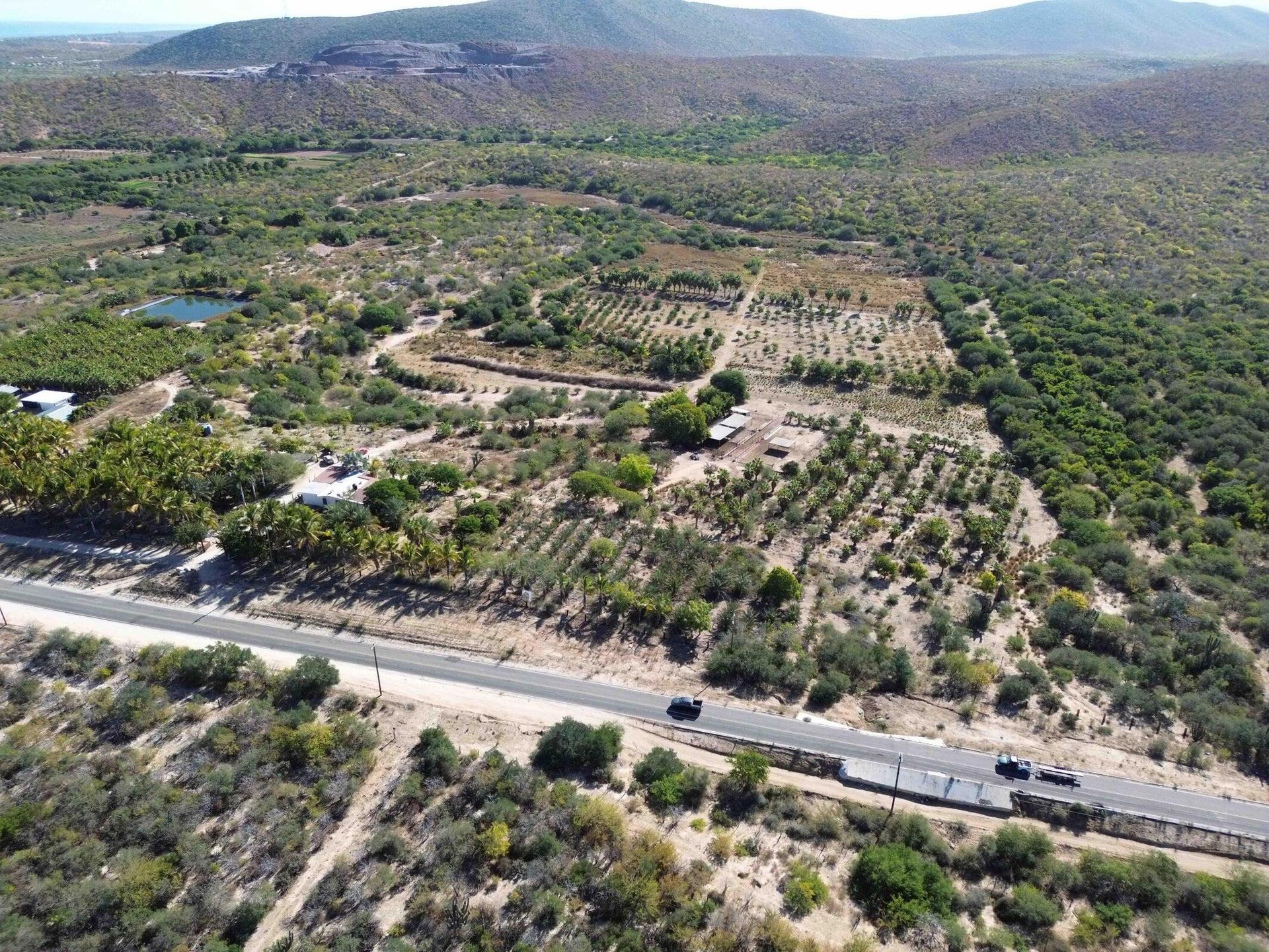 Carretera La Ribera, Organics Farm La Soledad, East Cape — photo 1 of 12
