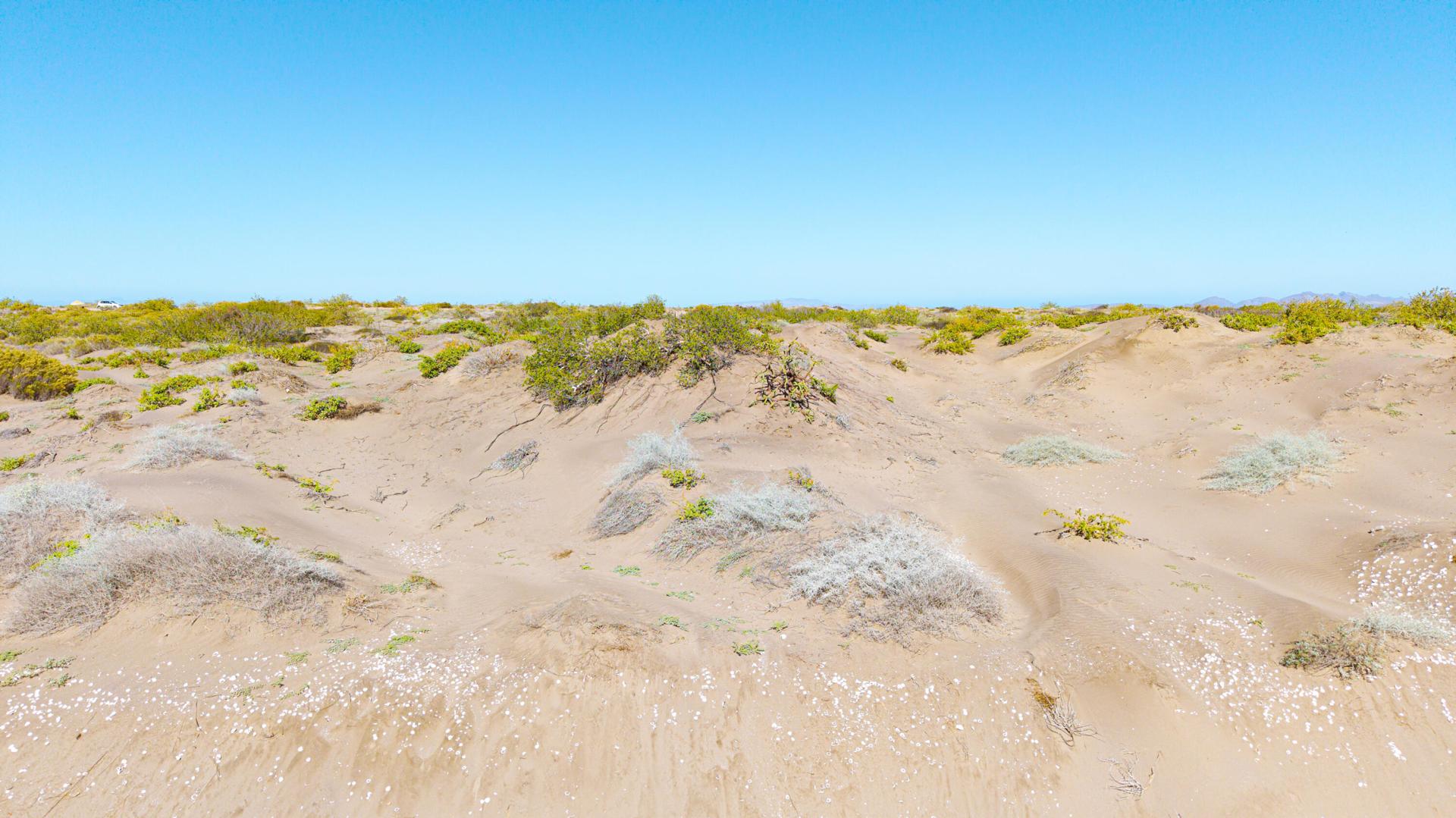 Lot 49, El Mogote, La Paz — photo 1 of 7