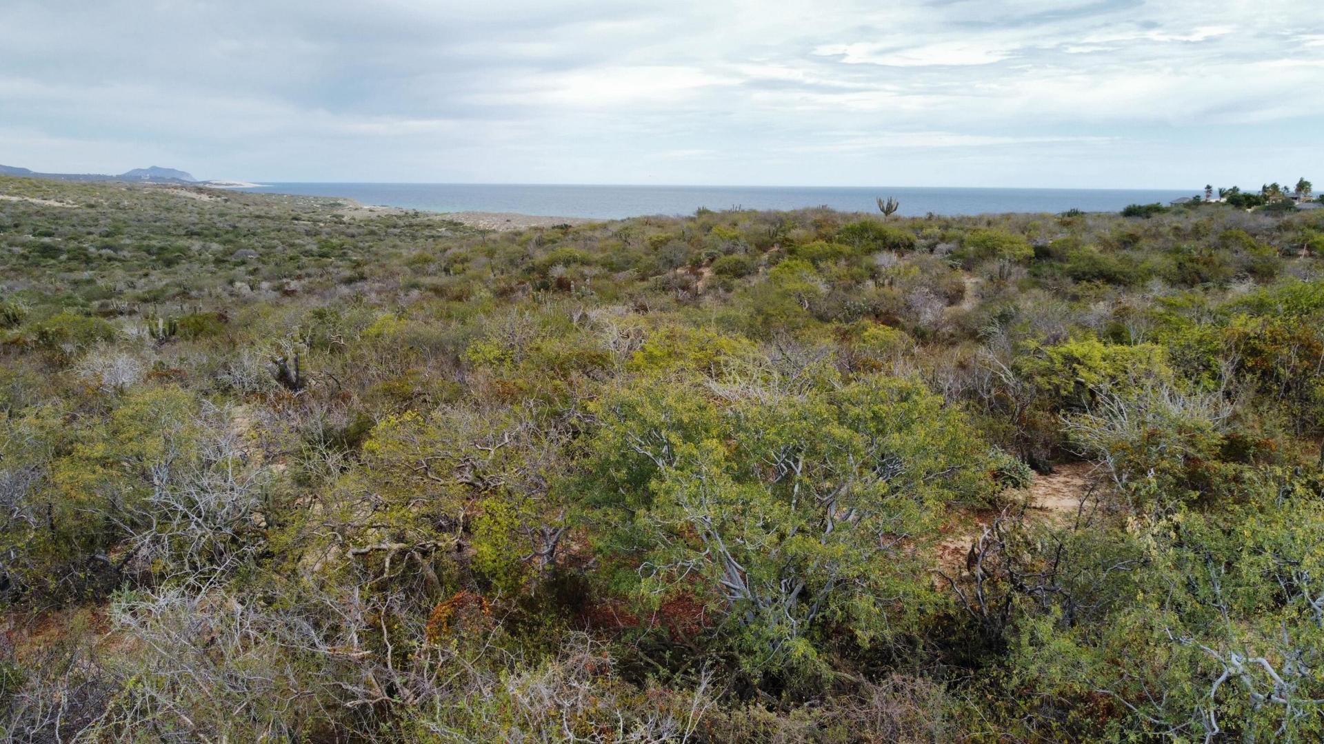 Lot 513 Costa De Oro, East Cape — photo 1 of 19