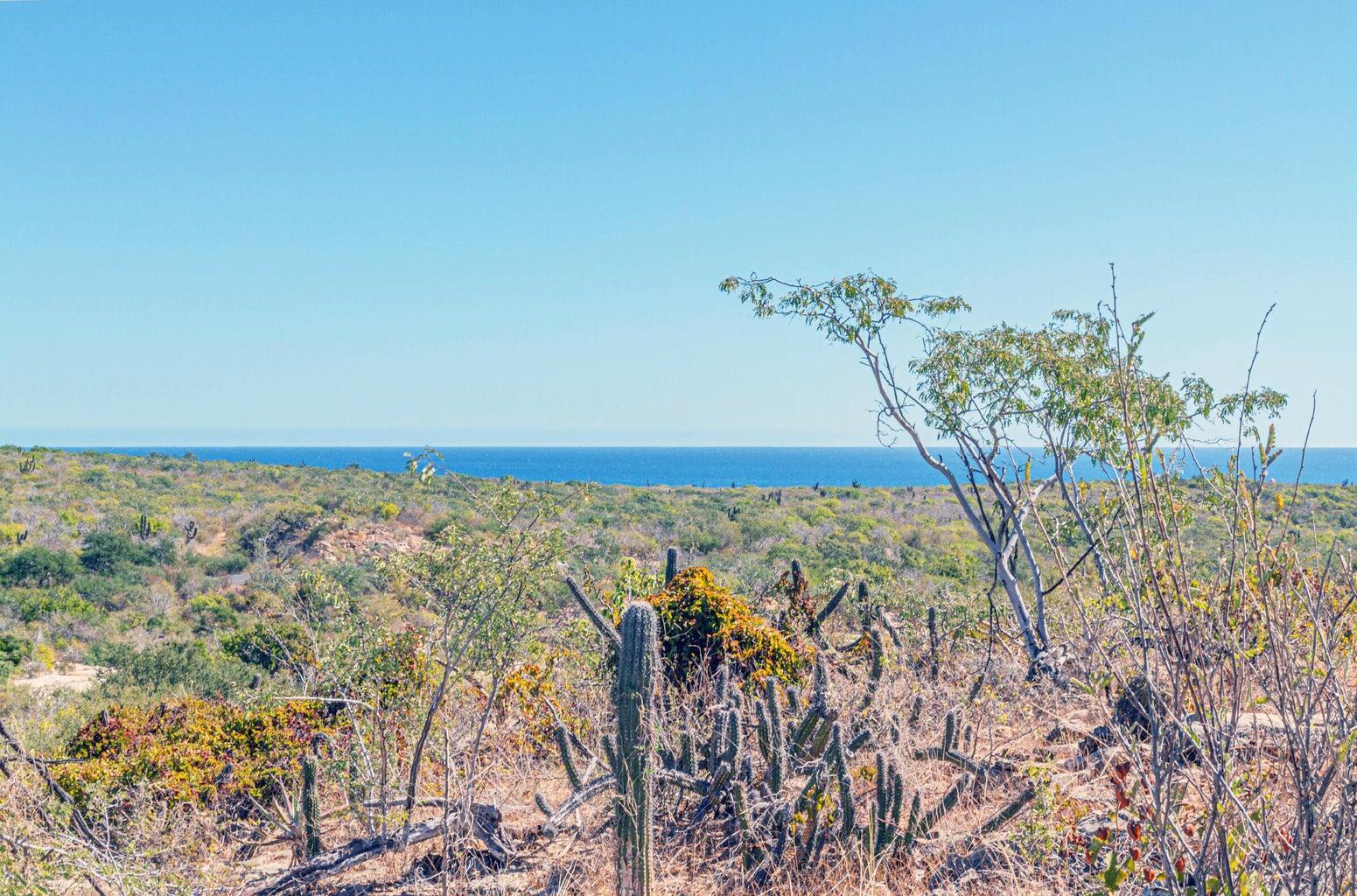 Laguna Hills Block 3 Lot, Oceanview Lot 6, San José del Cabo — photo 1 of 19