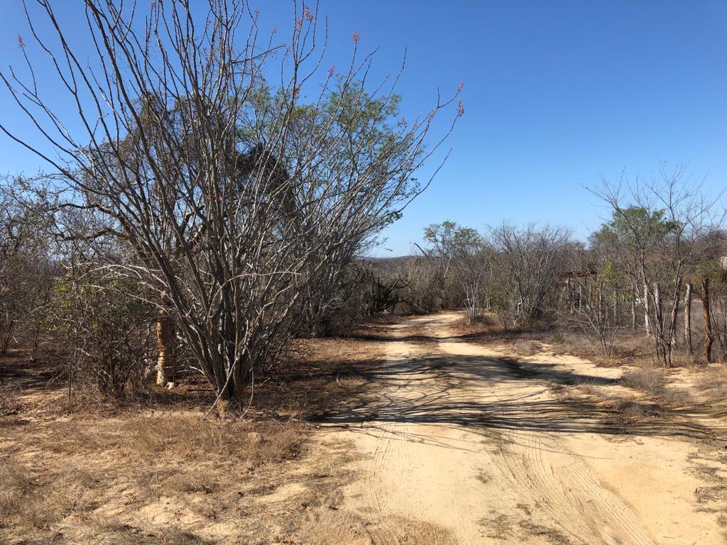 Campamento Lote 15, Magda Lot, East Cape — photo 1 of 14