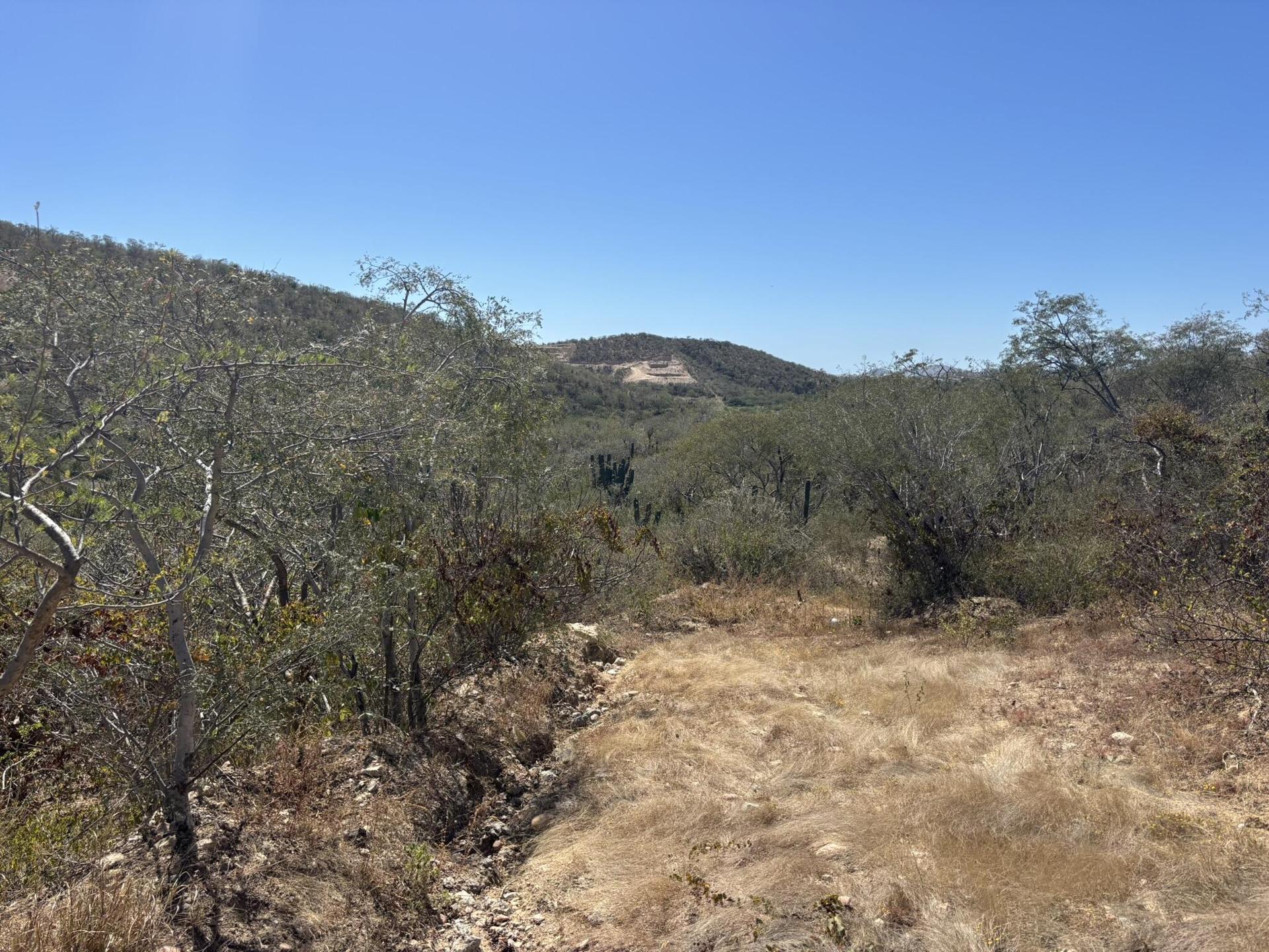 1 Animas Bajas, Lot Terra Sol, San José del Cabo — photo 1 of 13