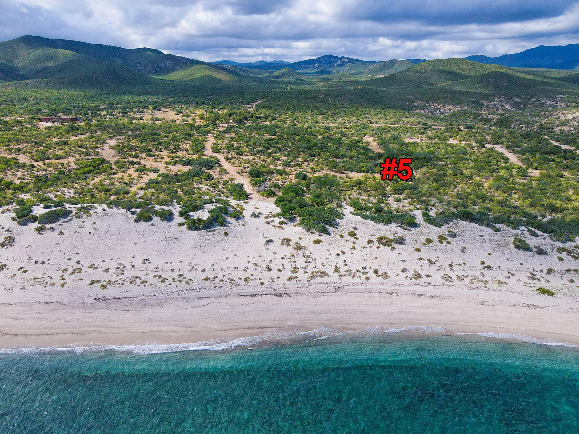 Las Dunas Section 5, East Cape — photo 1 of 19