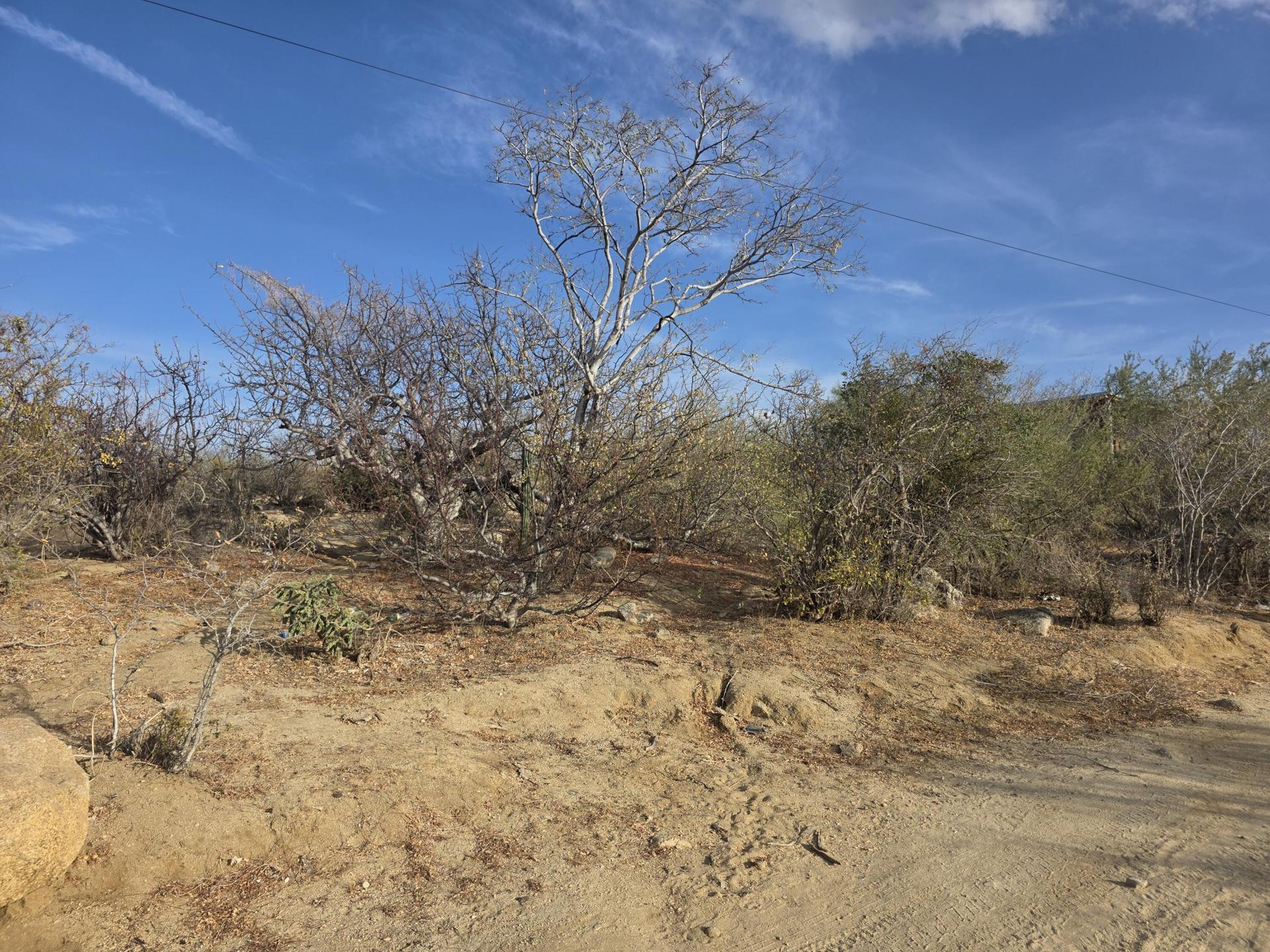 Manzana 1, Los Barriles, East Cape — photo 1 of 20