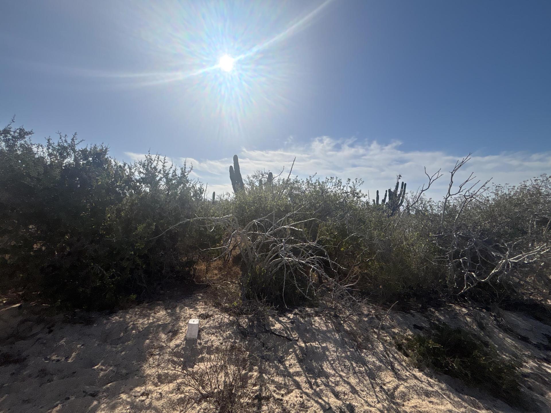 Camino De La Tiburon, Agua Blanca Mza J10 Lote 18a, Pacific — photo 1 of 16