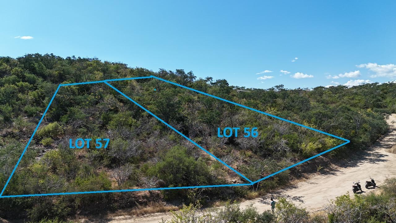 57 Calle del Zacaton, Lote 57, San José del Cabo — photo 1 of 12
