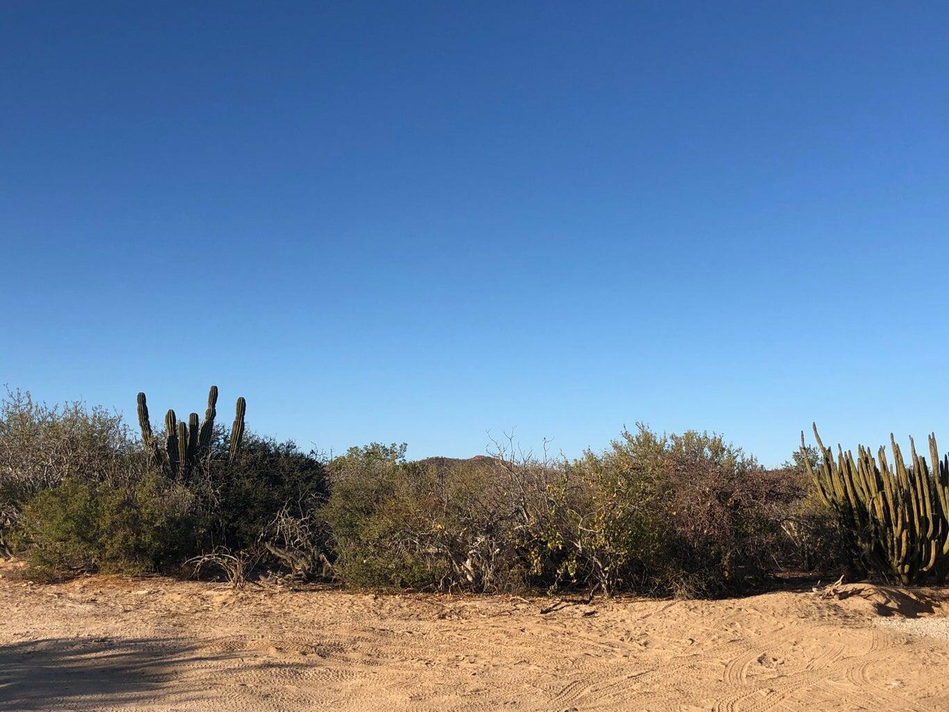 Lote 4 M5, Terranova Ii, East Cape — photo 1 of 6