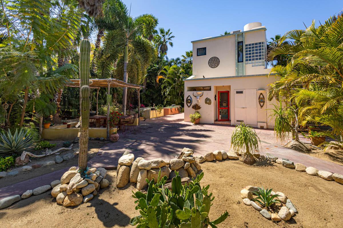 La Cachora North, Todos Santos, Pacific