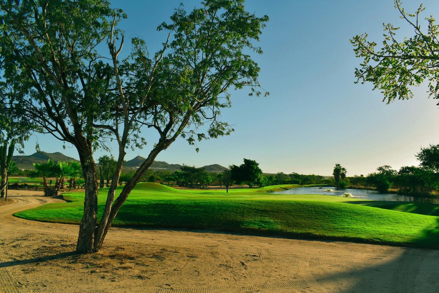 675 Via De Carlos, Cabo Country Club Lot 675, Cabo Corridor — photo 1 of 24