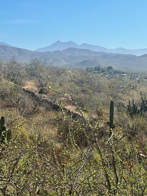 Calle Sin Nombre, Lote 801, Pacific — photo 1 of 20