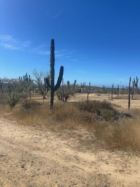 Calle Sin Nombre, Lote 2011, Pacific — photo 1 of 17