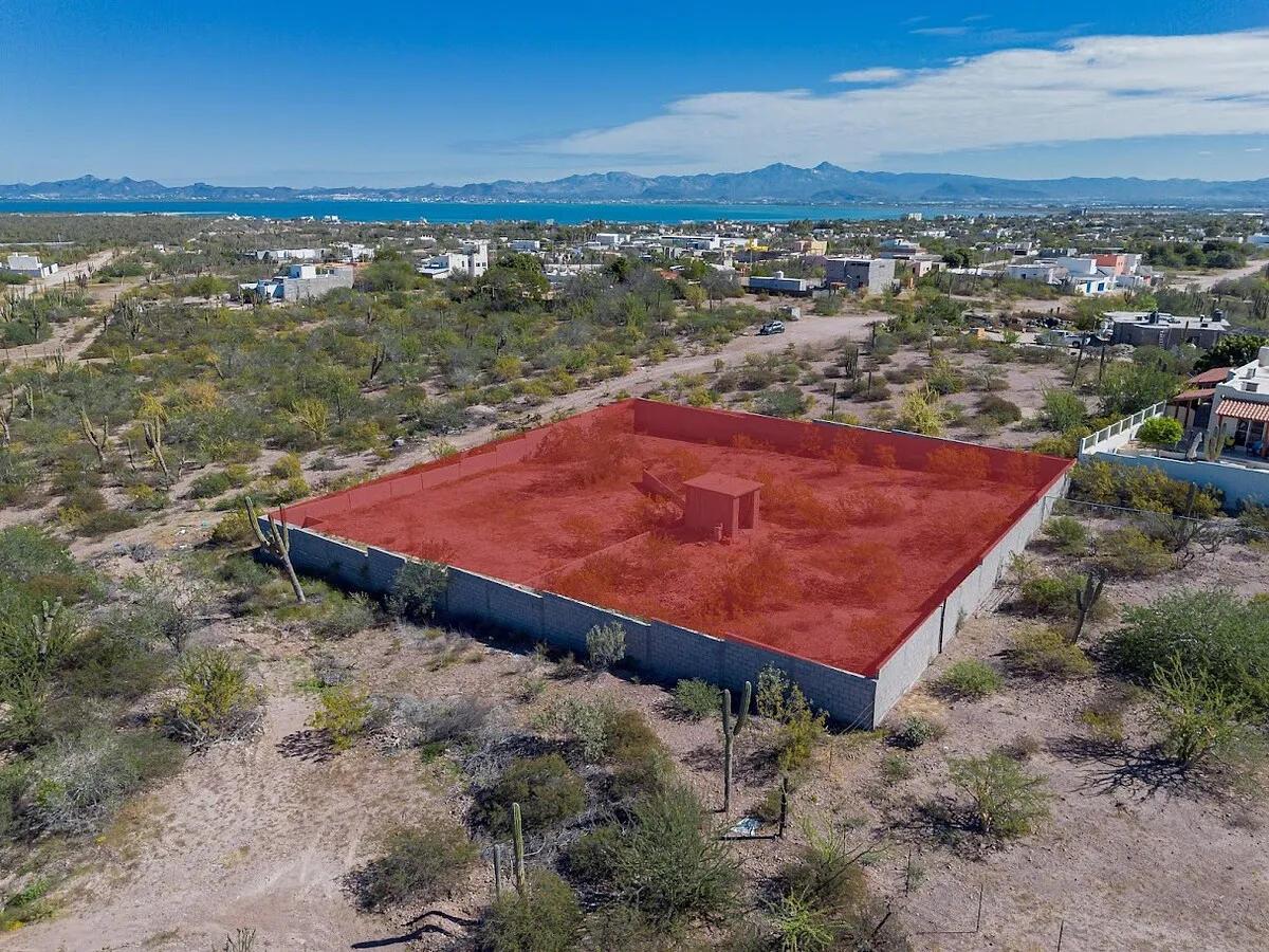 Palo Amarillo Centenario, Lot Cactus, La Paz — photo 1 of 6